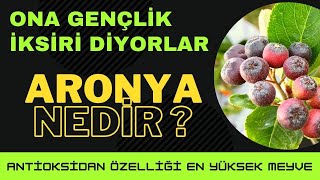 ONA GENÇLİK İKSİRİ DİYORLAR ARONYA NEDİR [upl. by Crotty]