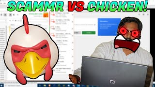 Terrifying scammers with a chicken Files DELETED [upl. by Ecilahc]