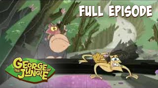 George of the Jungle  BEETLE INVASION  NAKED APE MAN [upl. by Laughlin845]