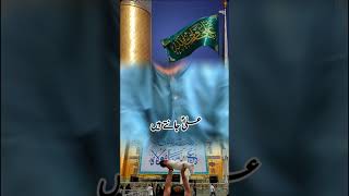 Malang hon Ali A S ka yaali haidermola najaf youtubeshorts explore foryou shorts اشتراك [upl. by Elene876]