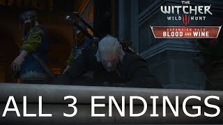 The Witcher 3 Wild Hunt  Blood and Wine DLC  Paperchase Quest  All 3 Outcomes [upl. by Ivonne]