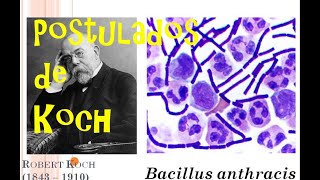 Postulados de Koch  Biomed Channel [upl. by Ruffin]