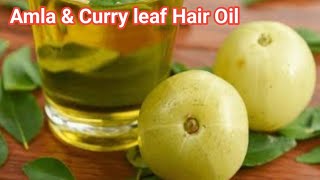 Amla hair oil for hair growth  Amla hair oil  Kadi patta hair oil  Amla hair oil at home [upl. by Aihsa]