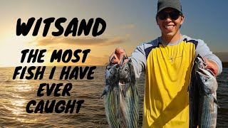 Bonito Madness  Insane Fishing Witsand  Western Cape South Africa [upl. by Isoais]