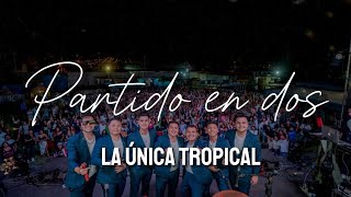 En la noche la sueño y todavía no entiendo me hizo volar tan alto🎶 LA ÚNICA TROPICAL [upl. by Dotty]