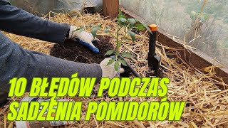 10 błędów podczas sadzenia pomidorów [upl. by Manvel]