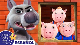 El Cuento de los 3 Cerditos  más Canciones Infantiles  Little Baby Bum en Español [upl. by Baten211]