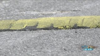 Neighbors have speed bumps installed  without permission [upl. by Somar]