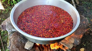 Odun Ateşinde Kuşburnu Marmelatı Kuşburnu Marmelatı Nasıl Yapılır Kuşburnu Marmelatı Tarifi [upl. by Tankoos]