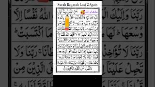 Amana Rasul ✏️ surah alBaqarah  qurantilawat qirat shortvideo [upl. by Graniela]