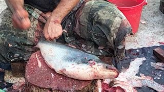 amazing Goint pangs fish cutting skills in Bangladesh Super market fishcooking viralvideo [upl. by Lika]