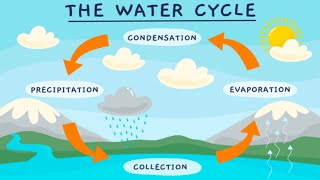 WATER CYCLE💧 The water cycle process  Easy science video [upl. by Haggi868]