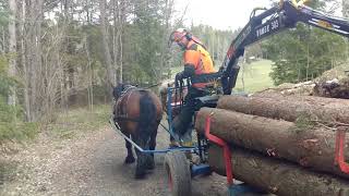 Ardennerhästar parkörning Fullt lass i Kastmorabacken [upl. by Nnylylloh702]