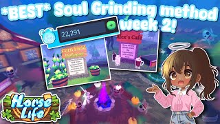 BEST Soul Grinding Method for Week 2 Horse Life Roblox [upl. by Hoes]