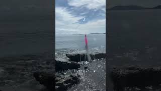 Sabiki Rig  Anti Zero foryou fishing fishingequipment fishingtechniques fishingvideo angler [upl. by Eiramaliehs639]