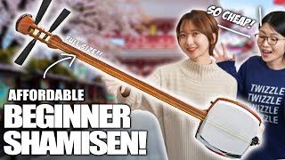 This is an Affordable and Authentic Tsugaru Shamisen [upl. by Brandtr]