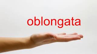 How to Pronounce oblongata  American English [upl. by Runkel845]