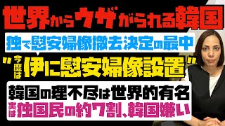 【世界からウザがられる韓国】独で慰安婦像撤去決定の最中、今度は伊に慰安婦像設置。韓国の理不尽は世界的に有名…実は独国民の約7割が韓国嫌い [upl. by Oecile]