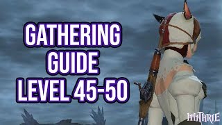 FFXIV 20 0105 Gathering Guide Level 45 to 50 [upl. by Reinert]