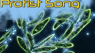 Protist Song [upl. by Nehcterg]