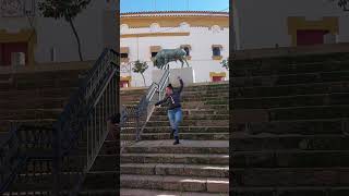 Primera sevillana y mezcla perfecta ¡CHIQUETETE y LINARES ❤️ flamenco sevillanas feriadeabril [upl. by Pepillo]