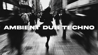 AMBIENT DUB TECHNO MIX quotShades Of Gray 8quot [upl. by Oloapnaig764]