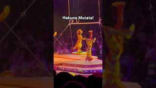 The Lion King Show at Disney’s Animal Kingdom WDW disneyparks [upl. by Lasala899]