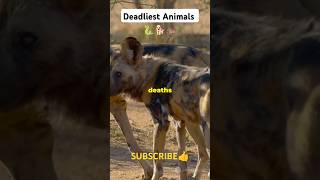 Deadliest Animals Causes the most deaths each year  facts animalfacts youtubeshorts [upl. by Ennoid]