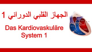 13اللغة الألمانية الطبية  الجهاز القلبي 1  Medizinische Fachsprache  Kardiovaskuläres System 1 [upl. by Ociredef703]