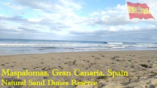 Maspalomas  Sand Dunes  Gran Canaria  Spain  Nature Reserve  Beach  Tourist Attraction [upl. by Nuahsyt]