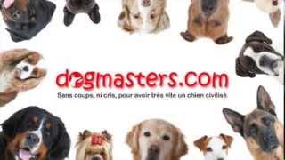 DogMasterscom  Conseils à tous les propriétaires de chien [upl. by Amesari]