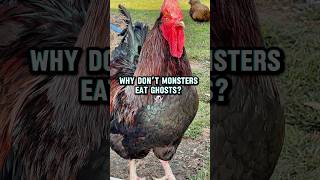 Ghosts taste like disappointment and regret chickens halloween ghosts sheet punny monster [upl. by Brookner]