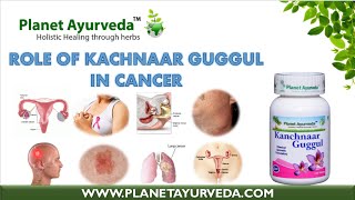 Kachnaar Guggul Cancer Natural Remedies [upl. by Aiepoissac]