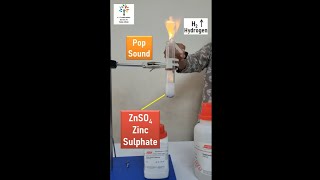 Reaction of Zinc and Sulphuric Acid [upl. by Aillil]