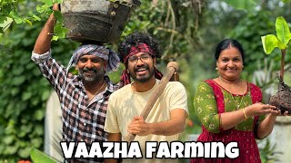 VAAZHA FARMING😁 [upl. by Torie]