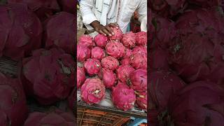 How to Grow dragon Fruits 2 🌿😍🌱 indianfarmer gardening indiangardeners phoolpatte vegegarden [upl. by Akerahs]