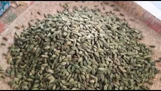 cardamom wholesale sale for Theni district in Bodinayakanur 6380598350 [upl. by Mond]