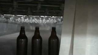 bodebrowncombr  tunel de pasteurizcao para cervejaria pasteurizar cervejas [upl. by Averill]