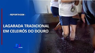 LAGARADAS TRADICIONAIS EM CELEIRÓS DO DOURO [upl. by Nitsed]