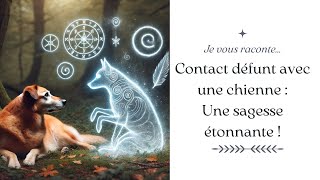 Contact défunt avec une chienne  ouverture sur la sagesse dun animal [upl. by Haggar79]