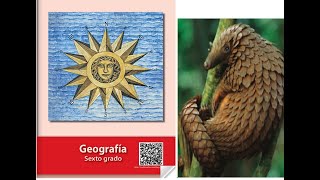 RIQUEZA Y VARIEDAD DE VIDA EN LOS PAISES BIODIVERSIDAD GEOGRAFIA 6 JADF [upl. by Raybin]