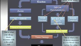 What is Gluten  The Ultimate Detailed Explanation [upl. by Hynes]