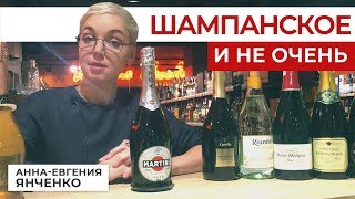 Что выбрать  Шампанское Просекко Кава Асти Мартини или Ламбруско [upl. by Oleta]