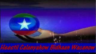 HEES WADANI CALANYAHOW BIDHAAN WACANOW PATROOL IYO HIBAAQ 2012 [upl. by Nesral]