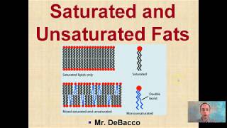 Saturated and Unsaturated Fats [upl. by Eyanaj]