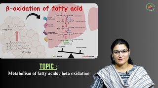 Metabolism of Fatty Acids  Beta Oxidation by Ms C Pavani [upl. by Alisander]