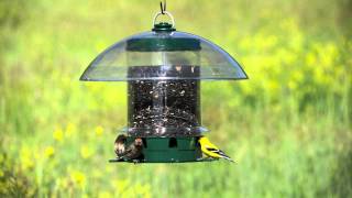 KFeeders® Super Carousel Wild Bird Feeder [upl. by Allebasi]