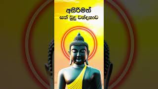 Sath Budu Wandanawa  සත් බුදු වන්දනාව dhamma buddhistchant buddhistprayer [upl. by Gunter]