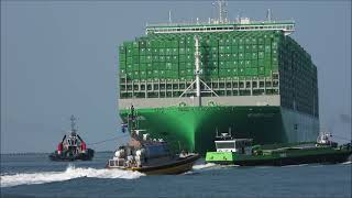 aankomst Ever Ace met Boluda Towage Loodswezen en Port of Rotterdam [upl. by Isabella223]