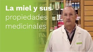 La MIEL 🍯 y sus Propiedades Medicinales [upl. by Gauthier]